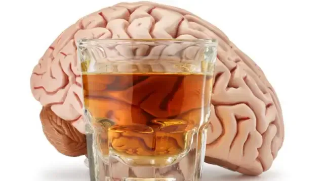 Does Alcohol Really Harm Your Health?