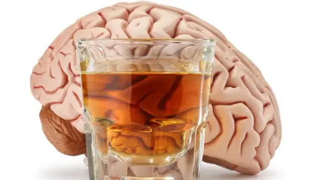 Does Alcohol Harm Your Health? Everything You Need to Know