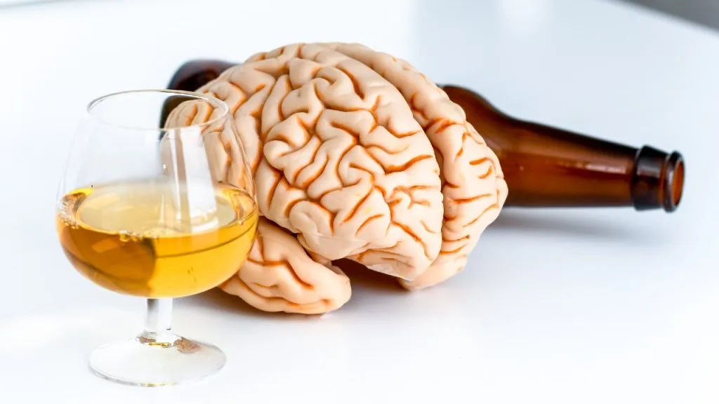 Does Alcohol Harm Your Health? Everything You Need to Know