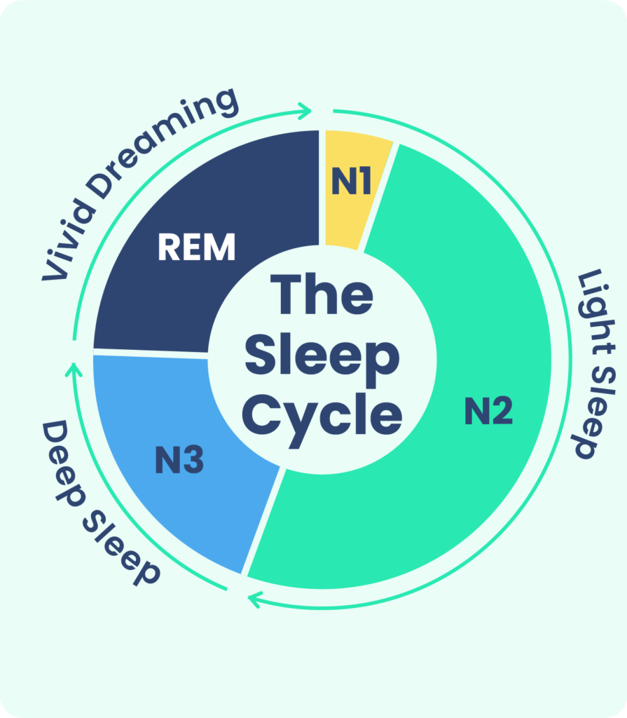 The Stages of Sleep: Everything You Need to Know