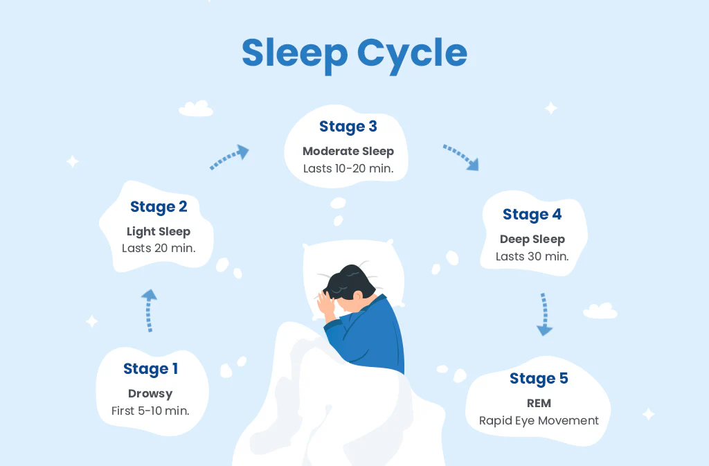 The Stages of Sleep: Everything You Need to Know